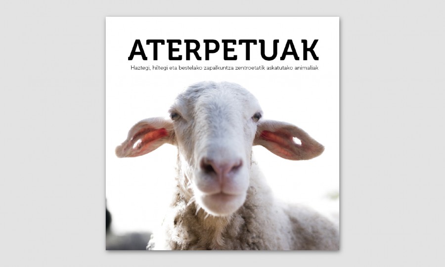 Aterpetuak liburua